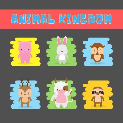 ANIMAL KINGDOM